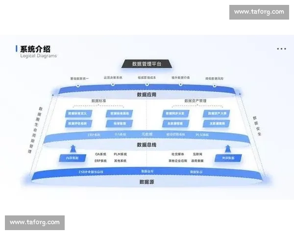 以淘汰机制为核心推动行业升级与优胜劣汰新格局持续演进发展