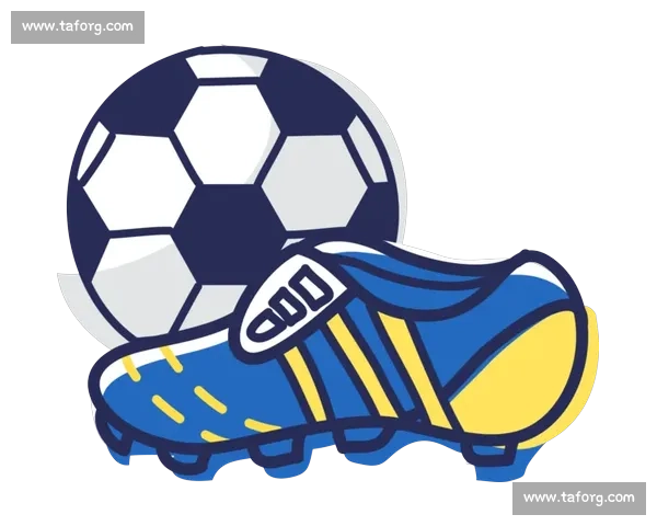 专业足球器材全解析与选购保养技巧实战应用指南提升竞技表现全面